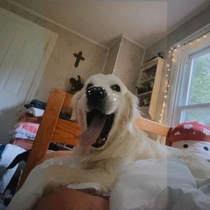 Meet your Posher, Melanie